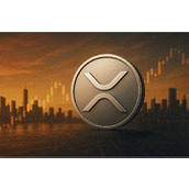 专家对XRP投资者的建议：这就是目标。这是正在发生的情况