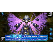 游戏王青眼白龙卡组如何搭配-青眼白龙卡组推荐2025