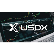 加密巨鲸在脱锚后买入80万美元USDX，但赎回受阻