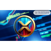 Solana基金会经理表示卖掉你的房子、床、衣服，然后买入XRP