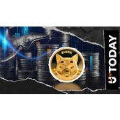 7,380,000,000,000 SHIB持仓量灰飞烟灭 币价成功抹零