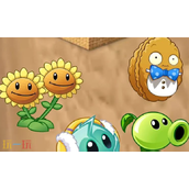 植物大战僵尸2兑换码怎么输入-兑换码使用方法介绍