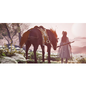 射雕手游网易官网入口在哪-官网入口地址一键获取