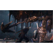 巫师3次世代版凯拉的选项怎么选-凯拉的选项完美结局教程分享