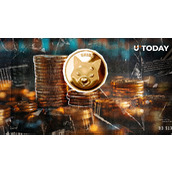 179,657,698 SHIB在供应冲击中被销毁，柴犬指标飙升3,615%