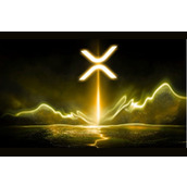 黑天鹅资本家：如何实现每个XRP超过10,000美元的数学原理