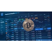 秒懂加密货币圈内黑话 从入门到精通快速摆脱小白身份