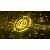 解读加密货币巨鲸动向 他们如何影响市场与释放关键信号