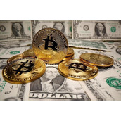 pi官网app下载-pinetwork最新官方下载版本