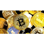 pinetwork官网入口-pinetwork官方下载