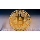 pinetwork官方网站-pinetwork官网入口