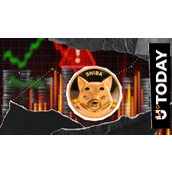 柴犬团队深陷舆论漩涡：SHIB开发人员披露针对性攻击细节