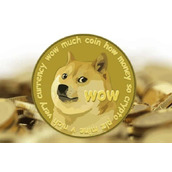 狗狗币怎么购买-新手详细教程