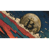 Maga币合约地址在哪-Maga币合约地址查找指南