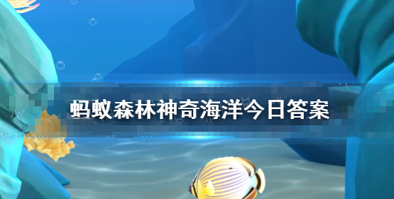 苏眉鱼是是哪种鱼_神奇海洋11月25日答案最新