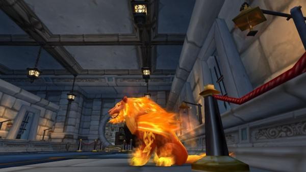 魔兽世界时光服火猫怎么获取_魔兽世界时光服火猫获取方法