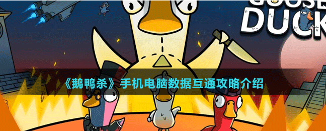 鹅鸭杀手机电脑互通吗，鹅鸭杀手机电脑账号可以一起玩吗