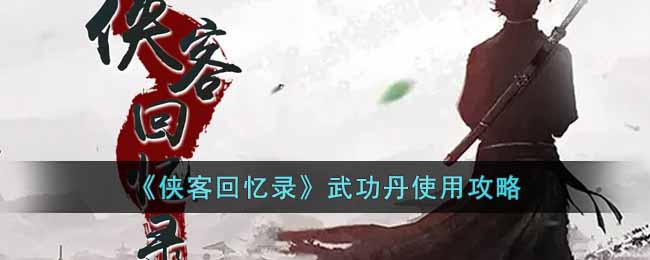 《侠客回忆录》武功丹推荐使用攻略