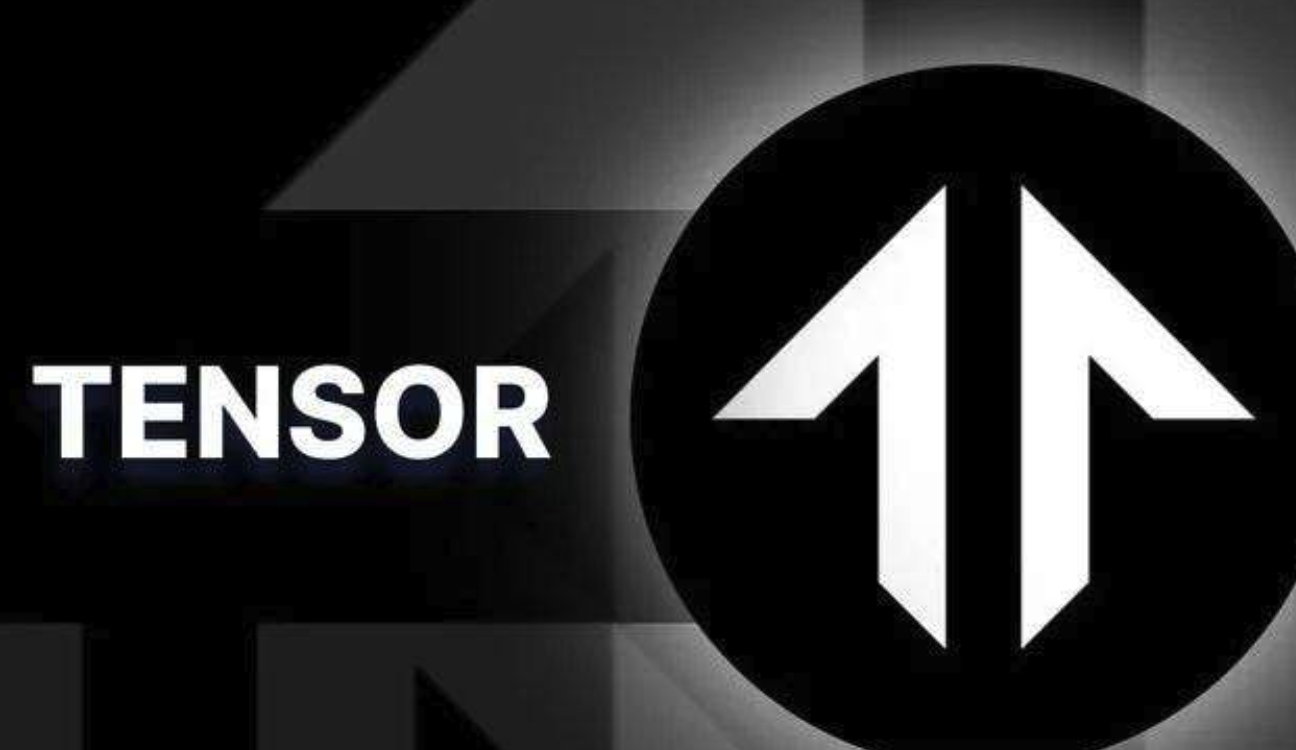 TNSR代币有何用途-其经济模型如何激励生态参与者