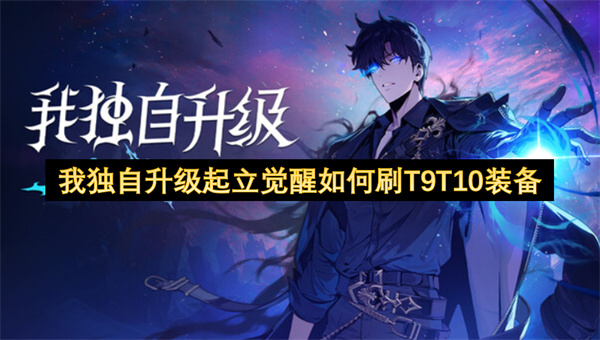 我独自升级起立觉醒如何刷T9T10装备