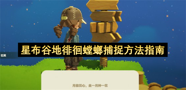 星布谷地徘徊螳螂捕捉方法指南