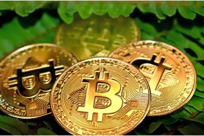 去哪查看有新币上线-如何查看新币-新手指南