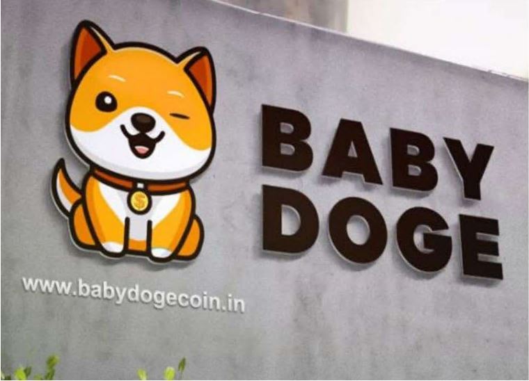 宝贝狗币（BabyDoge）是什么？有何用途？未来如何？
