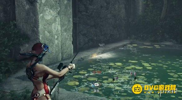 《剑星》大比目鱼在哪里钓-大比目鱼钓鱼点钓鱼位置图解