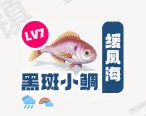 《心动小镇》黑斑小鲷在哪里钓_黑斑小鲷钓鱼点钓鱼时间图鉴