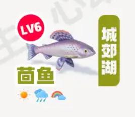 《心动小镇》茴鱼在哪里钓_茴鱼钓鱼点钓鱼时间图鉴