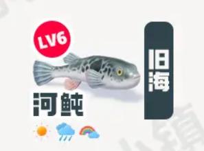 《心动小镇》河鲀在哪里钓_河鲀钓鱼点钓鱼时间图鉴