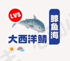 《心动小镇》大西洋鲭在哪里钓_大西洋鲭钓鱼点钓鱼时间图鉴