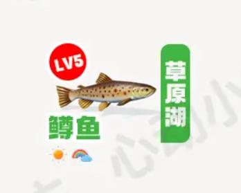 《心动小镇》鳟鱼在哪里钓_鳟鱼钓鱼点钓鱼时间图鉴