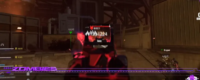 《使命召唤：黑色行动7》诅咒余烬召唤熊方法详解-提前召唤技巧分享