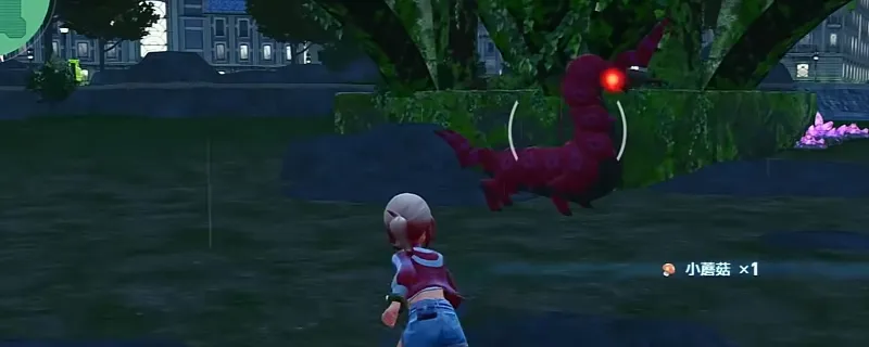 《宝可梦传说Z-A》20号野区刷头目技巧-野区头目分布与注意事项