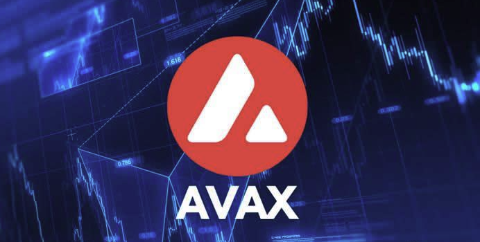 AVAX币代币经济与投资风险分析新手指南