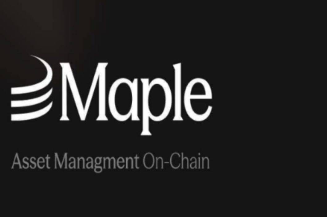 SYRUP代币是什么-SYRUP在DeFi借款市场的定位是什么