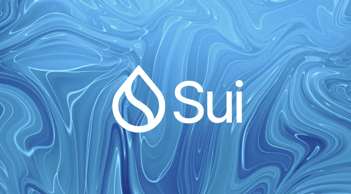 Sui币的功能包括哪些基本用途-作为支付费用的它为什么支持并行执行