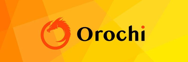 什么是Orochi Network？ON币是什么？值得投资吗？