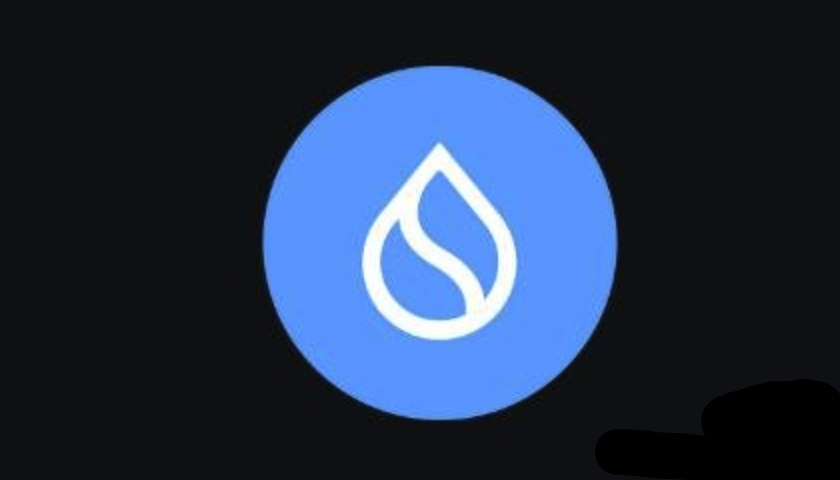 什么是Sui区块链 (SUI币)-主要特点和用例