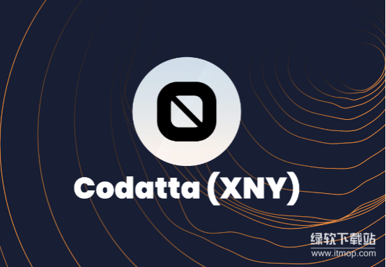 投资XNY币有哪些风险-市场波动与政策因素应如何应对