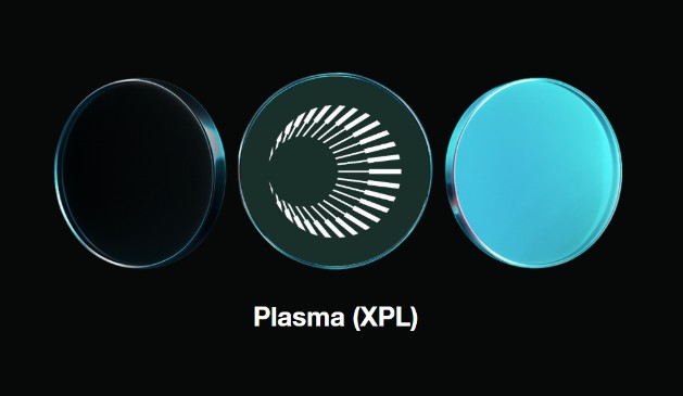 XPL币怎么买?币安购买XPL币教程