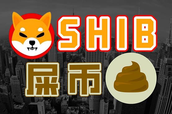 屎币怎么购买？屎币(SHIB、柴犬币)买入教程小白篇