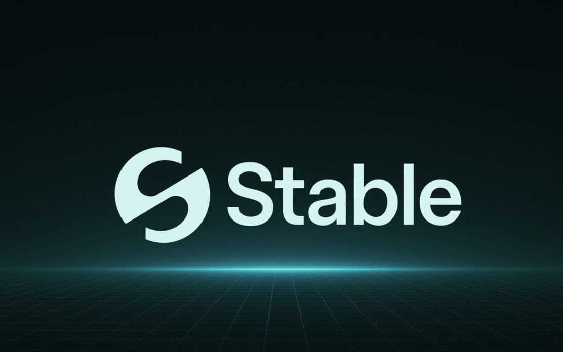 什么是Stable区块链-Stable区块链如何运作