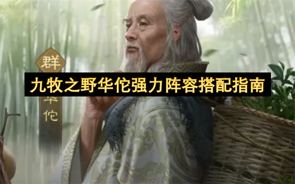 九牧之野华佗强力阵容搭配指南