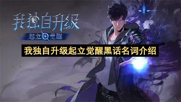 我独自升级起立觉醒黑话名词介绍
