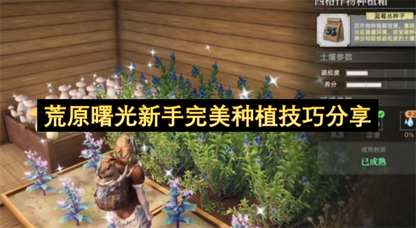 荒原曙光新手完美种植技巧分享