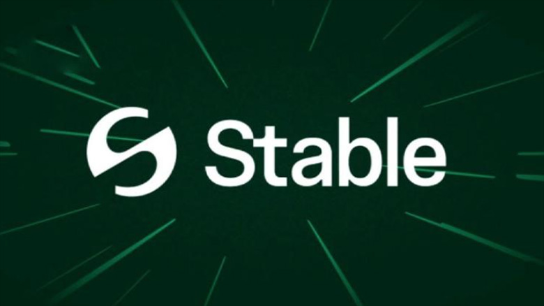 Stable(STABLE)币是什么?未来潜力如何?STABLE代币经济与前景分析