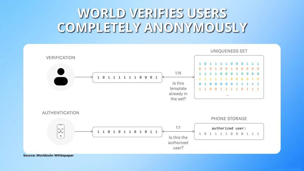 什么是世界币（World）？世界币代币经济学、如何购买及价格预测