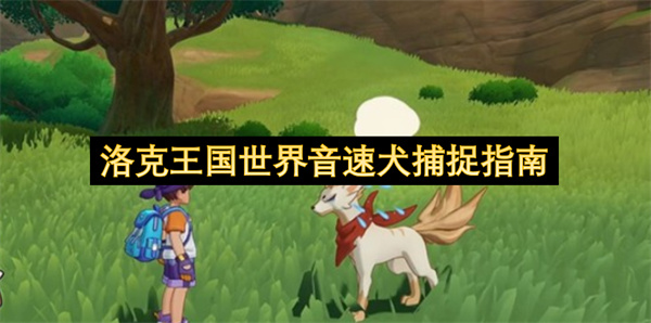 洛克王国世界音速犬捕捉指南